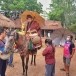 สำนักปฏิบัติธรรมวัดถ้ำป่าอาชาทอง