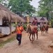 สำนักปฏิบัติธรรมวัดถ้ำป่าอาชาทอง