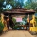 สำนักปฏิบัติธรรมวัดถ้ำป่าอาชาทอง