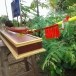 เรือยาวจำลอง (ช่างคมบ้านหัวดง)