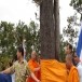 พระโสภณพัฒโนดม ครูภูมิปัญญาไทย