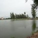 อ่างเก็บนำหนองตาหมู่