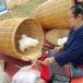 งานบุญ “ปั่นฝ้าย สายบุญ จุลกฐิน”