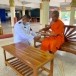 หลักการประสานงานในการดำเนินงานพิธีการพระราชทานพระพิธีธรรมสวดพระอภิธรรม ตามโบราณราชประเพณี ในแนวทางของกระทรวงวัฒนธรรม