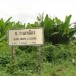 บ้านว่านเหลือง  หมู่ที่  ๘  ตำบลชากไทย