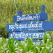 ประวัติหมู่บ้าน บ้านห้วยทรายขาว อำเภอเฉลิมพระเกียรติ