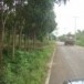 ชื่อบ้านนามเมือง  บ้านโตกใต้