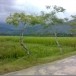 ชื่อบ้านนามเมือง 