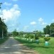 ประวัติบ้านหนองขาม