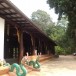 บันไดพญานาค ที่วัดธาตุฝุ่น