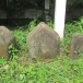 ใบเสมาหินโบราณสถานวัดสันติธรรมบรรพต (วัดภูน้อย) กลุ่มที่ ๕