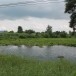บ้านคลองสุขใจ  หมู่ ๔ ตำบลทุ่งทอง  