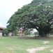 บ้านคลองสุขใจ  หมู่ ๔ ตำบลทุ่งทอง  