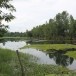 บ้านคลองสุขใจ  หมู่ ๔ ตำบลทุ่งทอง  