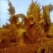 ประเพณีแห่เทียนพรรษาอำเภอหนองบุญมาก
