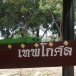 เรือยาว เทพโกศล