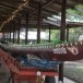 เรือยาว เทพโกศล