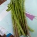 แกงบุก (พืชชนิดหนึ่ง)