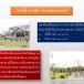 การใช้ การชัก การแสดงธงชาติ