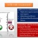 การใช้ การชัก การแสดงธงชาติ
