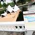 เมืองจำลอง ออสเตรเลีย