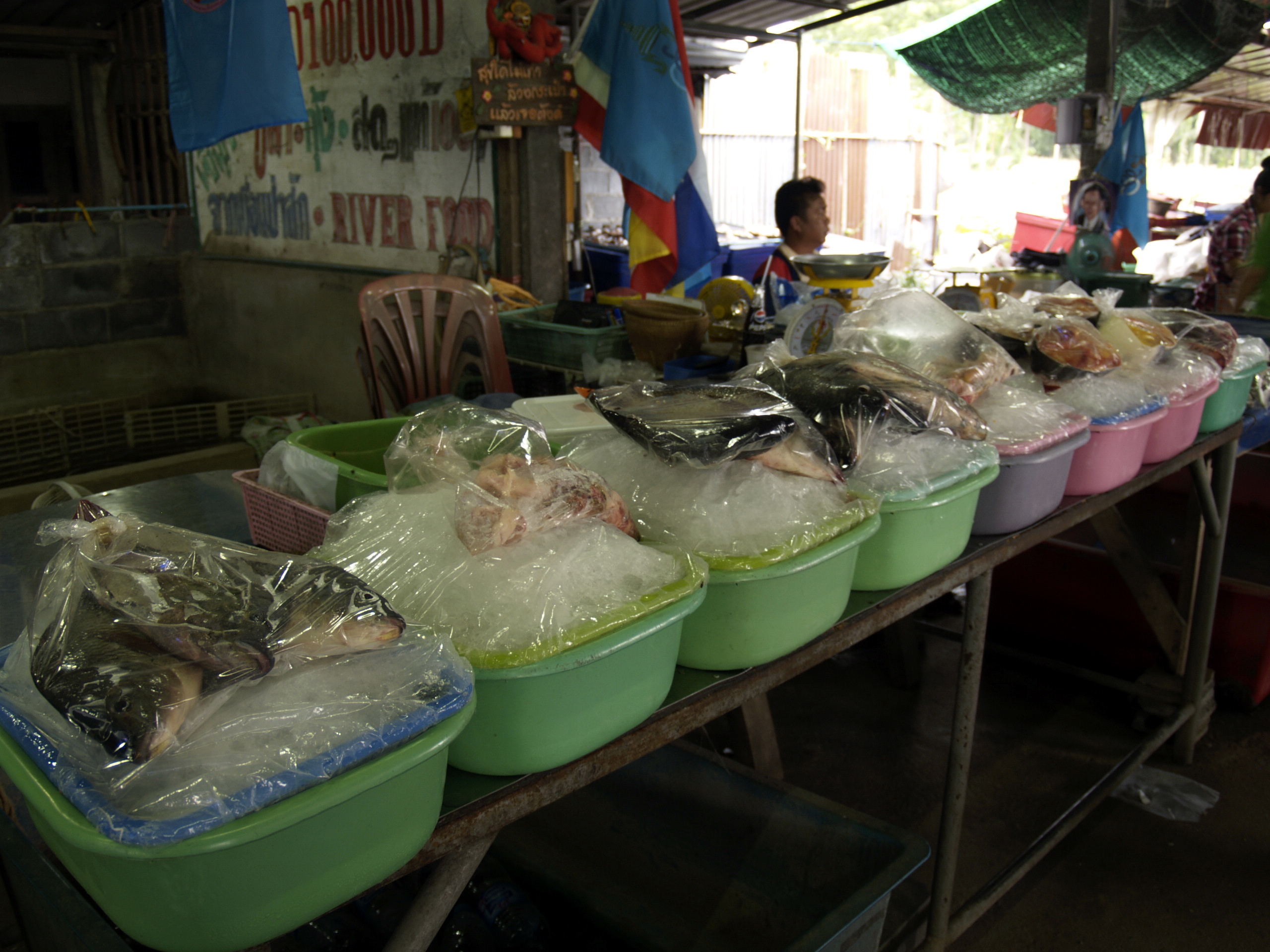 ตลาดปลาชัยบาดาล(เขื่อนป่าสัก)