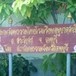 ชมรมวัฒนธรรมไทยในสถานศึกษา